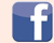 Like Liz in Action on Facebook